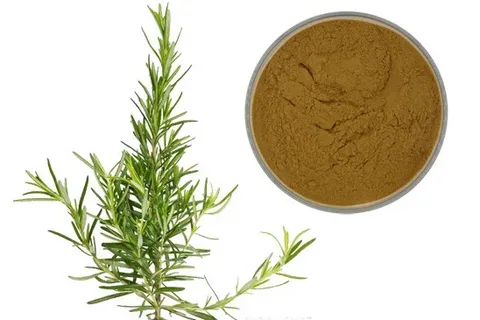 Antioxidant Application of Rosemary Extract