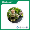 Oregano Pure Essential Oil