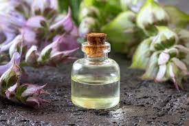 Sage Essential Oil Main Efficacy and Usage