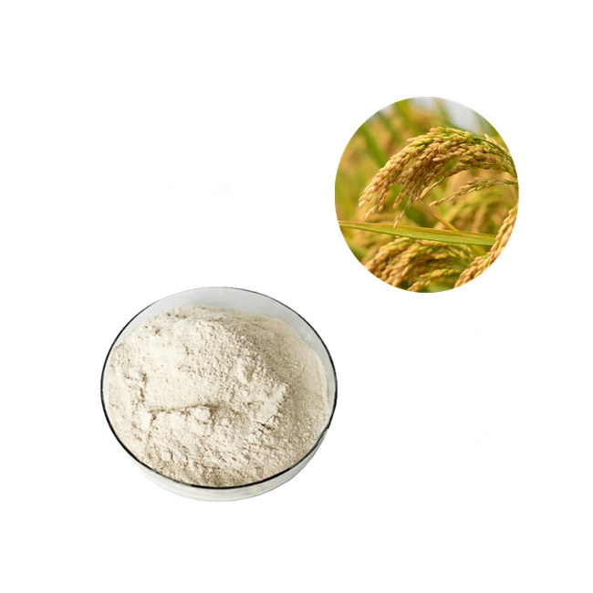 Rice protein powder, an important product of rice deep processing
