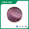 Freeze Dried Acai Berry Powder