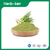 Shallot Powder