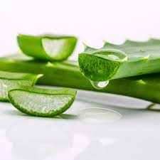 Some Knowledge about Aloe Vera Extract